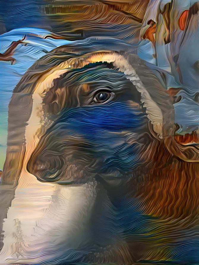Water Stream Dog