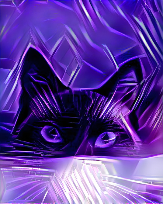 Purple cat all in my brain