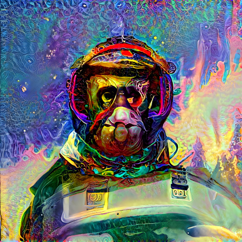 Space Ape Astronaut Helmet