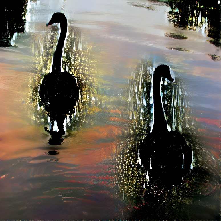 Swans at Night 