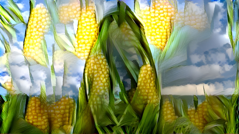 corn city