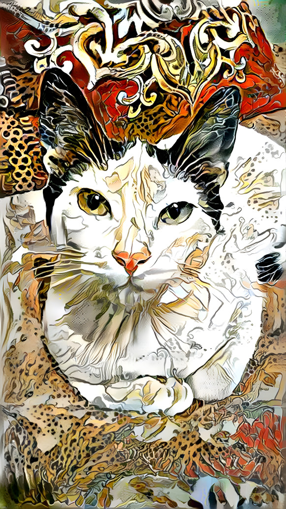 Haïr golden cat