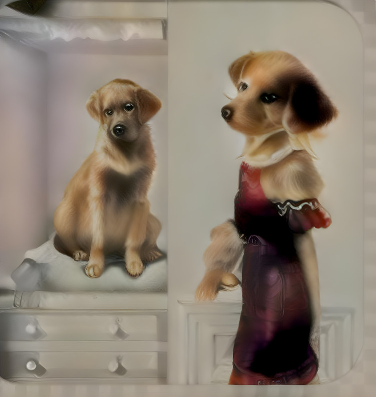 Puppy In A Dress by Dana 