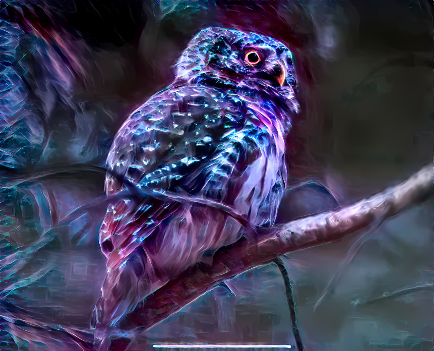 ……..Night Owl……..