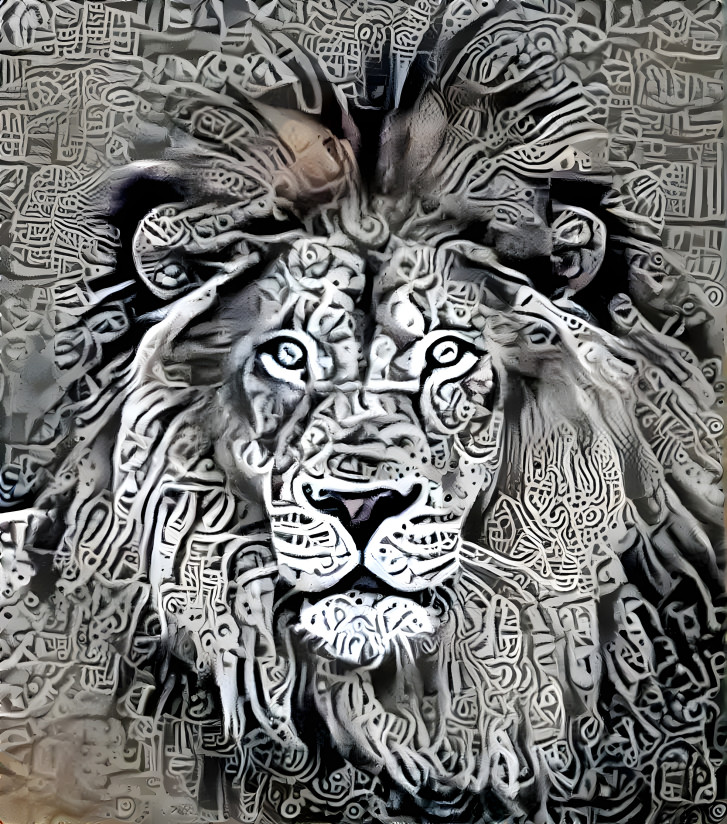 face lion