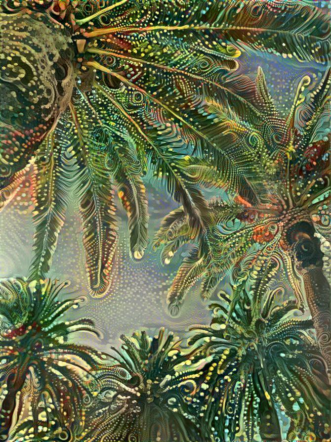 Sparkling Palms