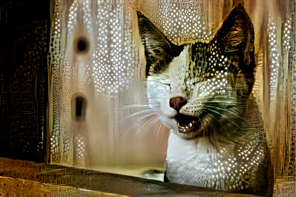 Mosaic Cat X