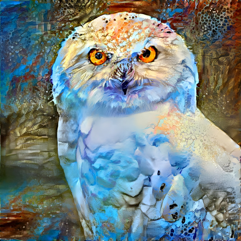 Dream owl