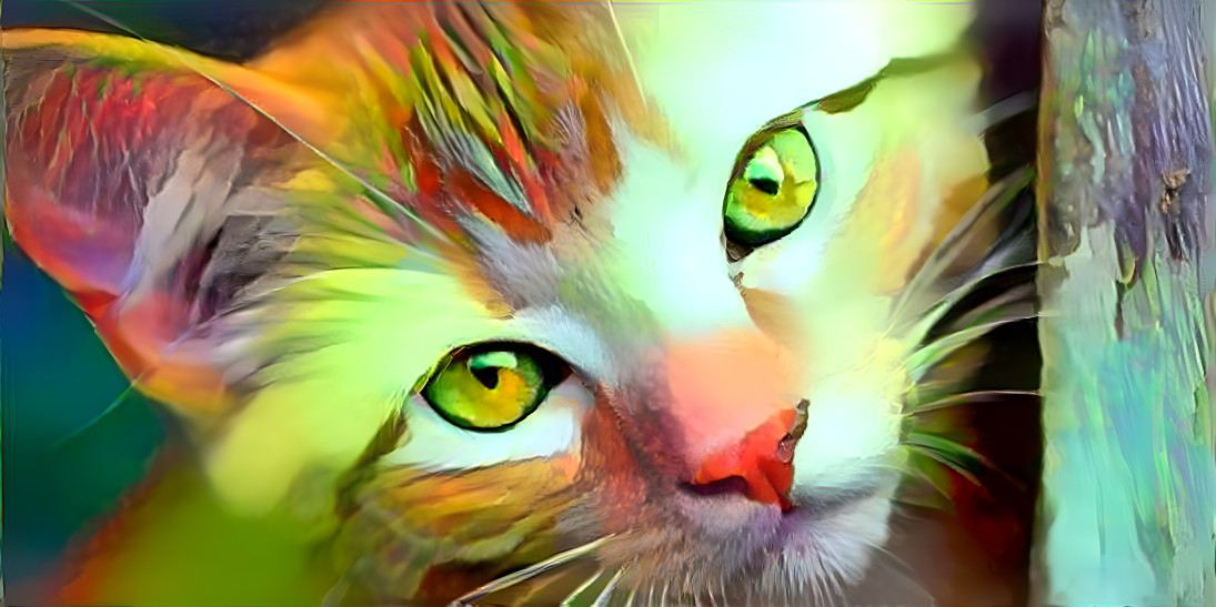 Colored cat