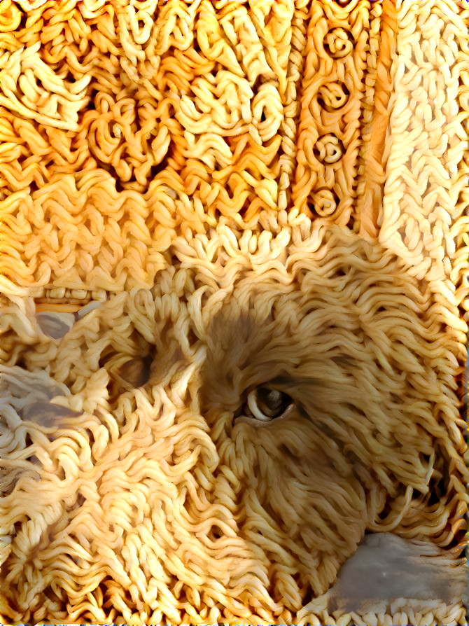 Noodle Poodle