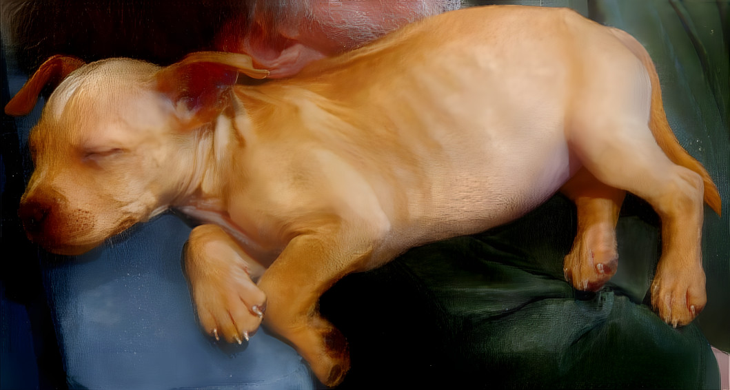 Oil painting puppy
