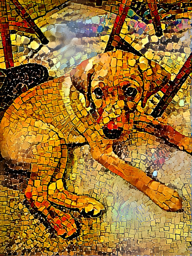 Puppy Mosaic