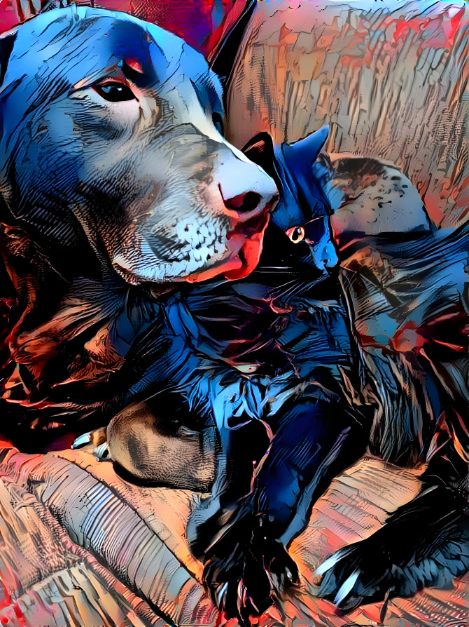Dog and Cat, comic book style