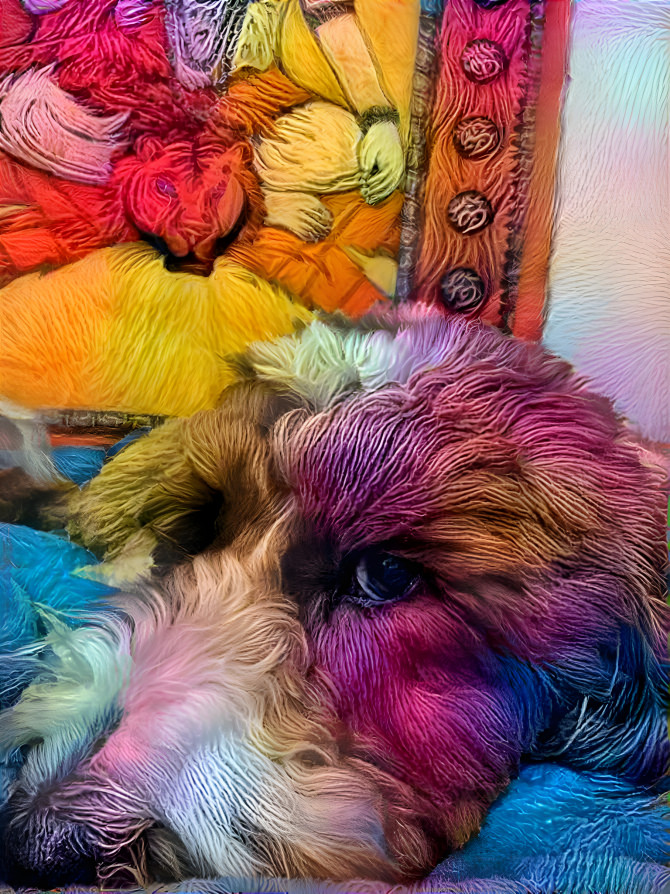 Yarn dog