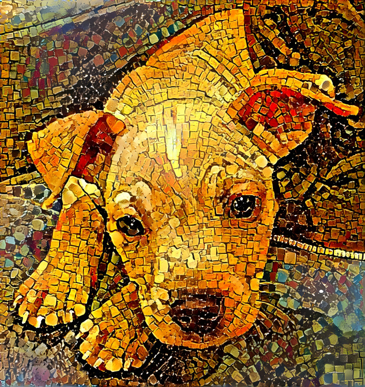 Roman Mosaic Pup
