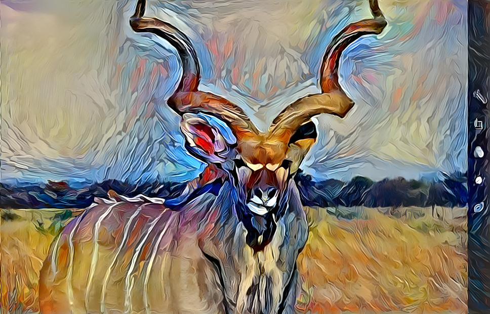 Kudu bull