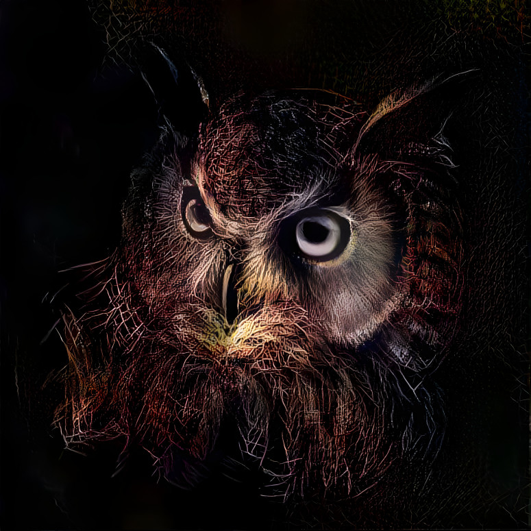 Night owl 