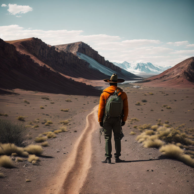 Person in Hat Walking on Dirt Path in Desert Landscape with Mountains