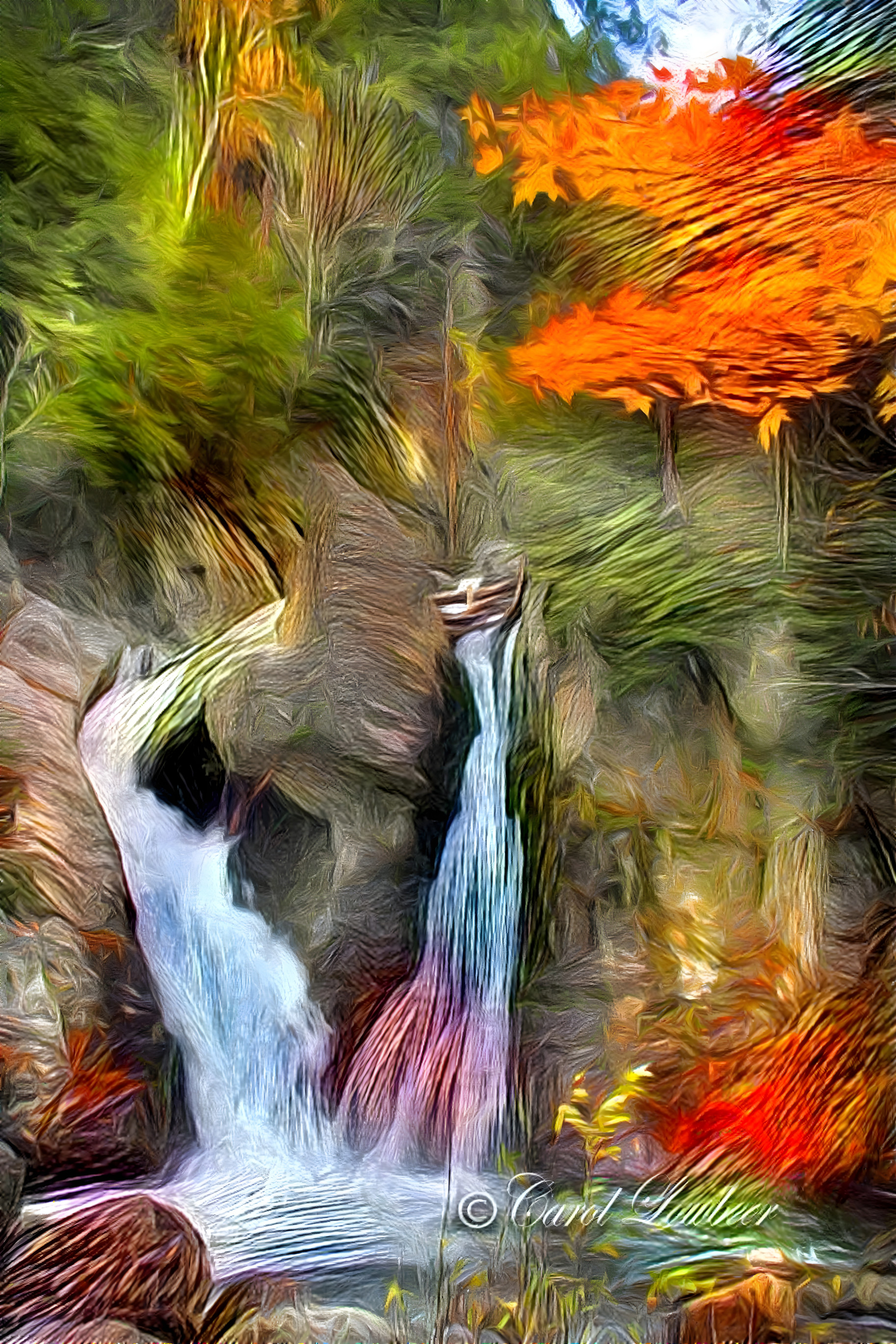 Bish Bash Falls in Autumn