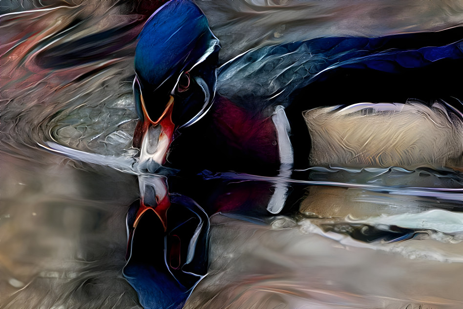 Narcissus Wood Duck