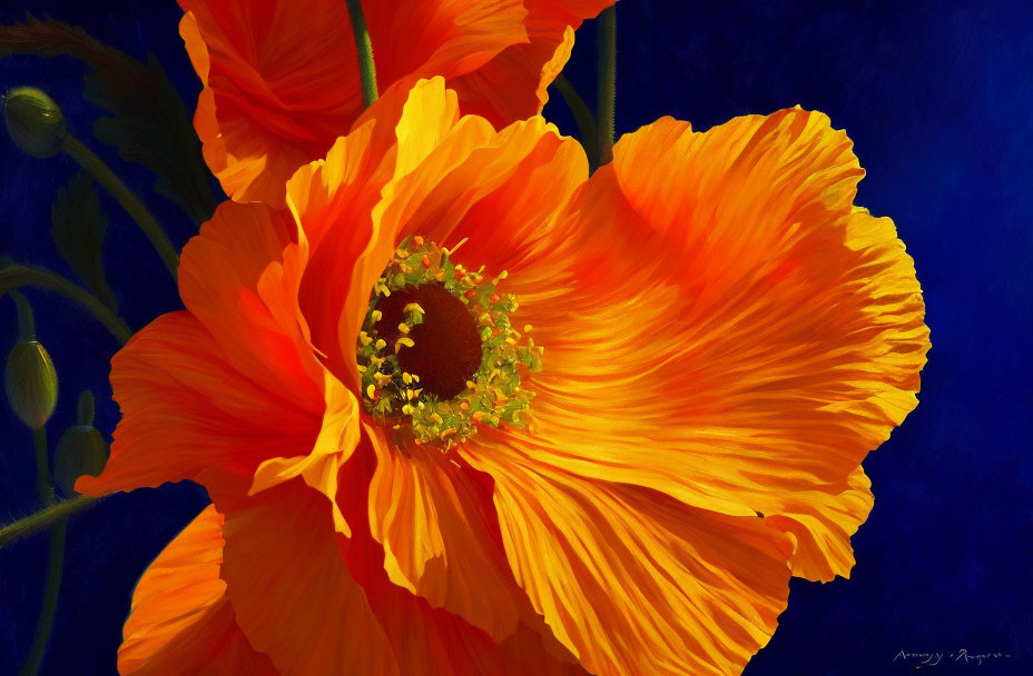 Vibrant orange poppy on deep blue background with intricate textures