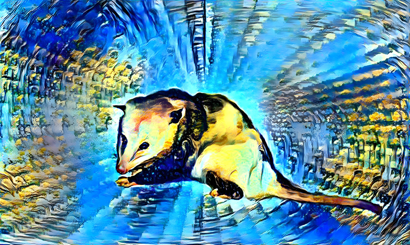 yellow possum 