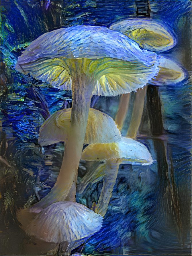 Mushroomblue