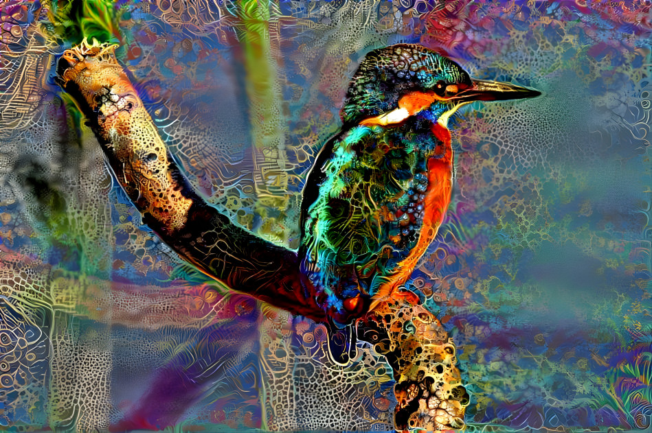 Kingfisher Kaleidoscope 