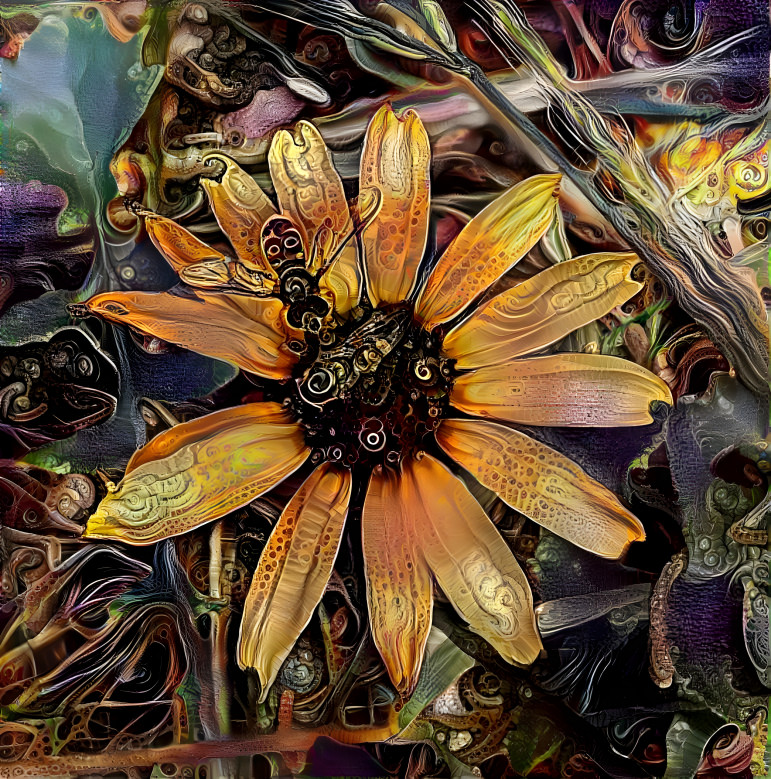 hoverfly on daisy