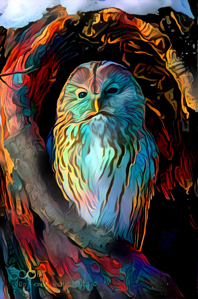 The wise owl