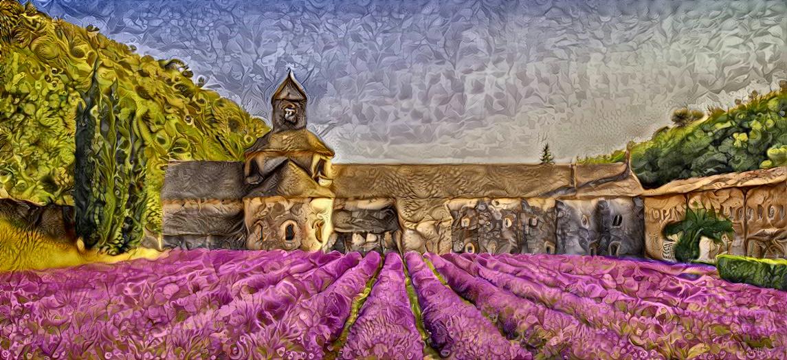Lavender field in southern France