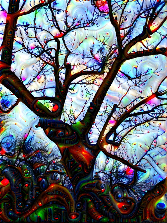 Miracle tree (Csodafa)