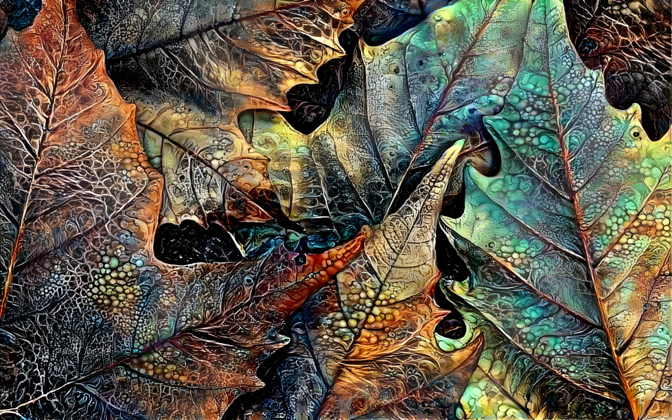 leaves 