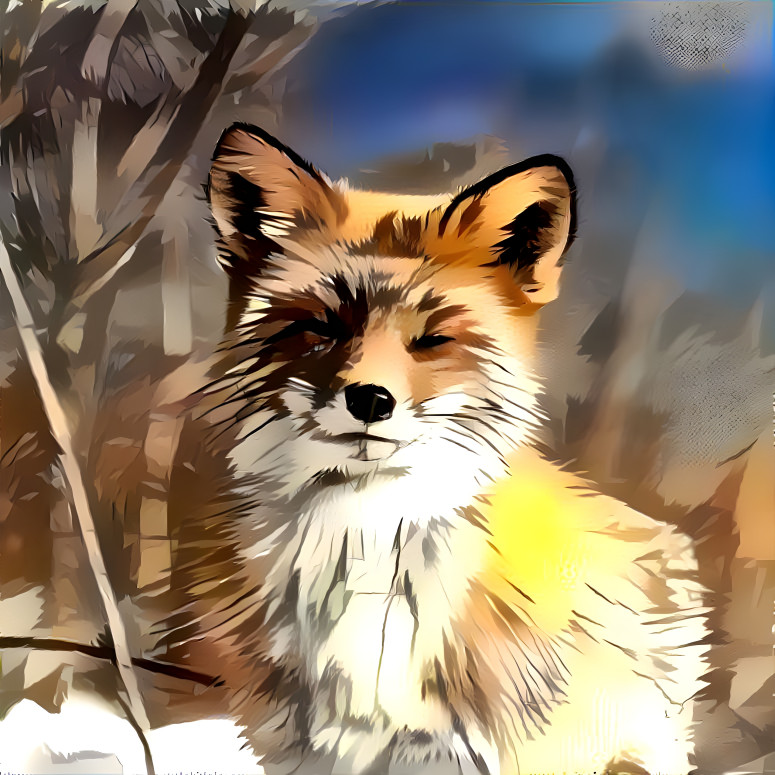 Fox - Leon