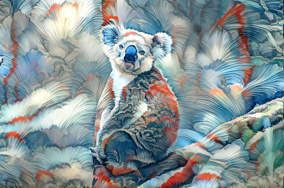 koala woala