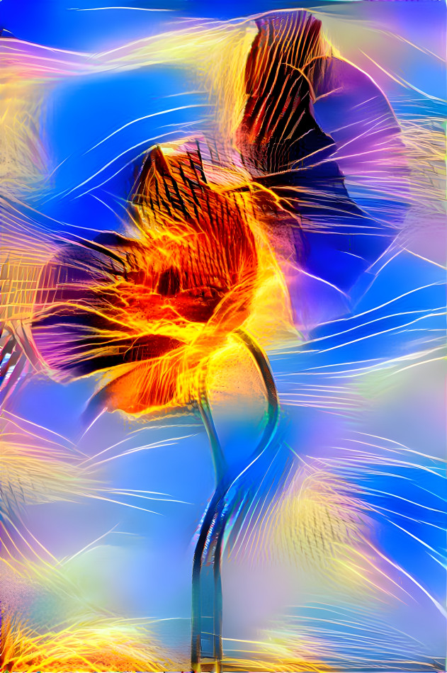 fleur de pavot