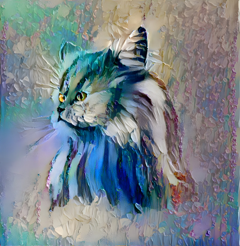 Cat 7 Blue