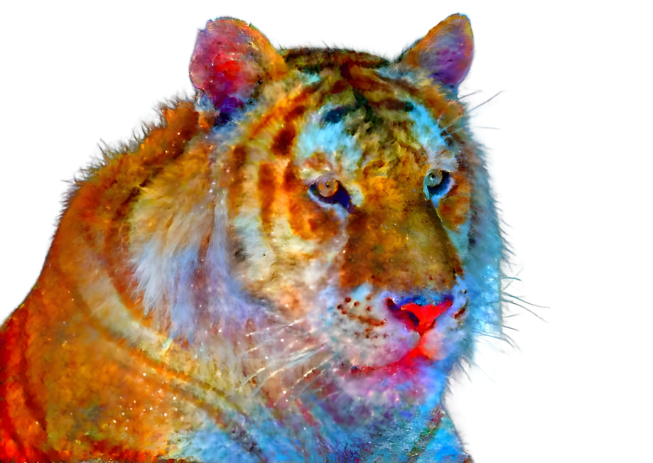 sparkly tiger
