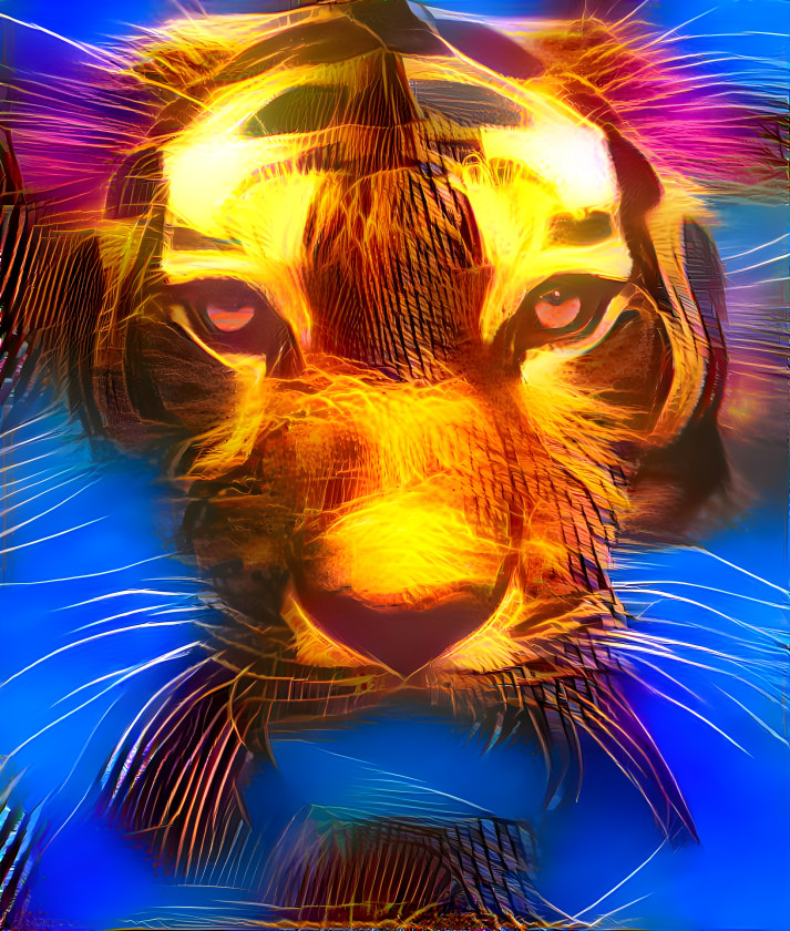 tiger of dreams