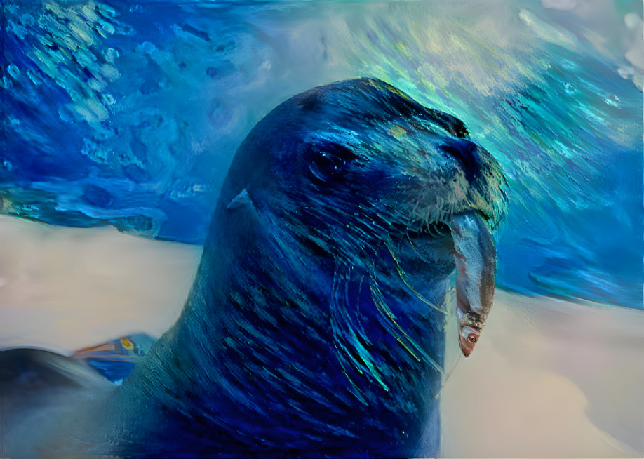 Ocean Seal