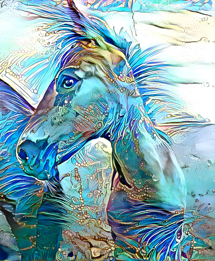 Magic foal