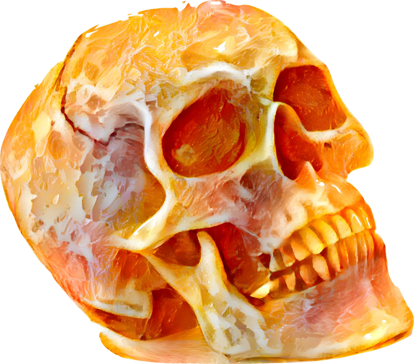 Orange skull