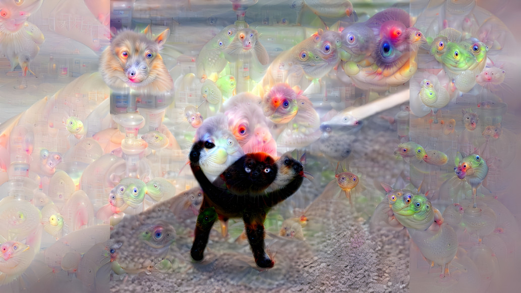Cursed cat but it’s psychedelic 