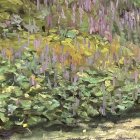 Tranquil pond with water lilies and reflected trees in impressionistic painting