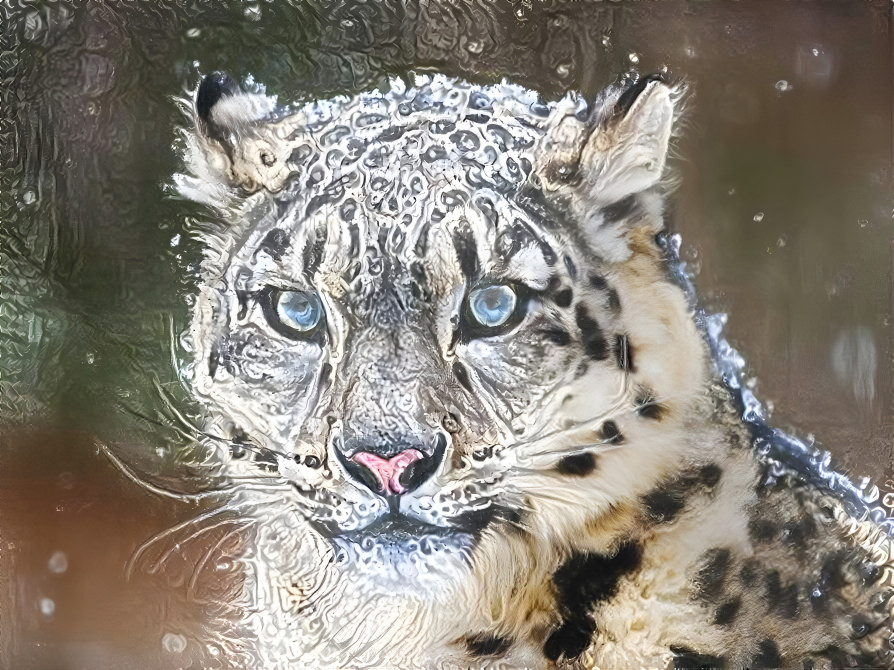 Frozen snow leopard