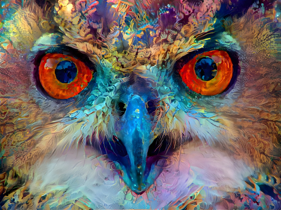 Hawkish Owl