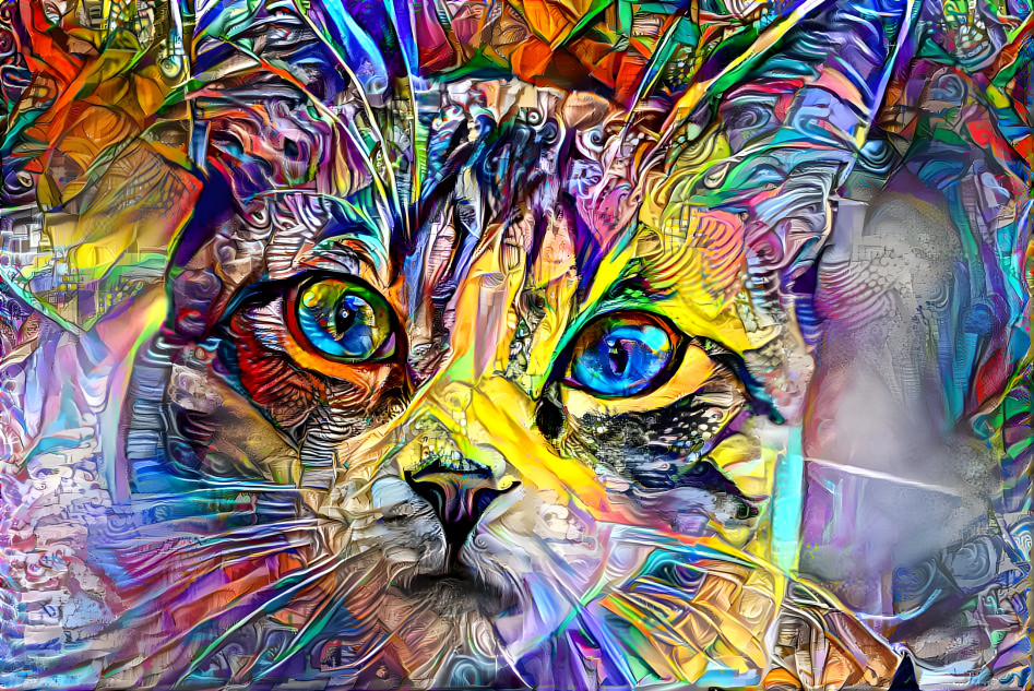 Crystalized Cat