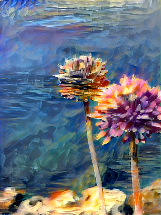 Beach Flowers