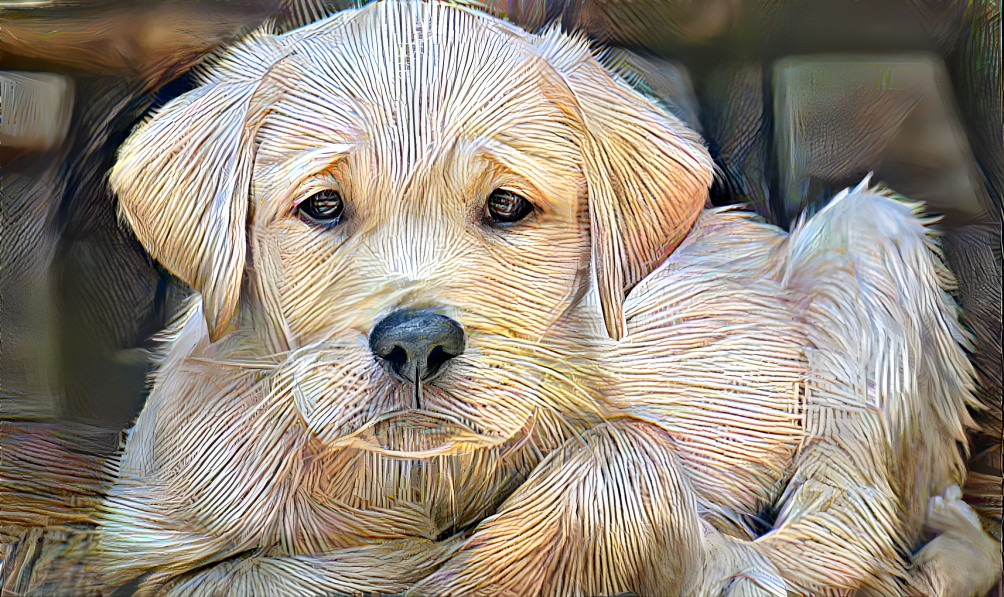 Pup Made of Rope