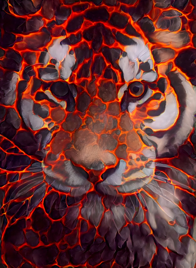 A lava tiger
